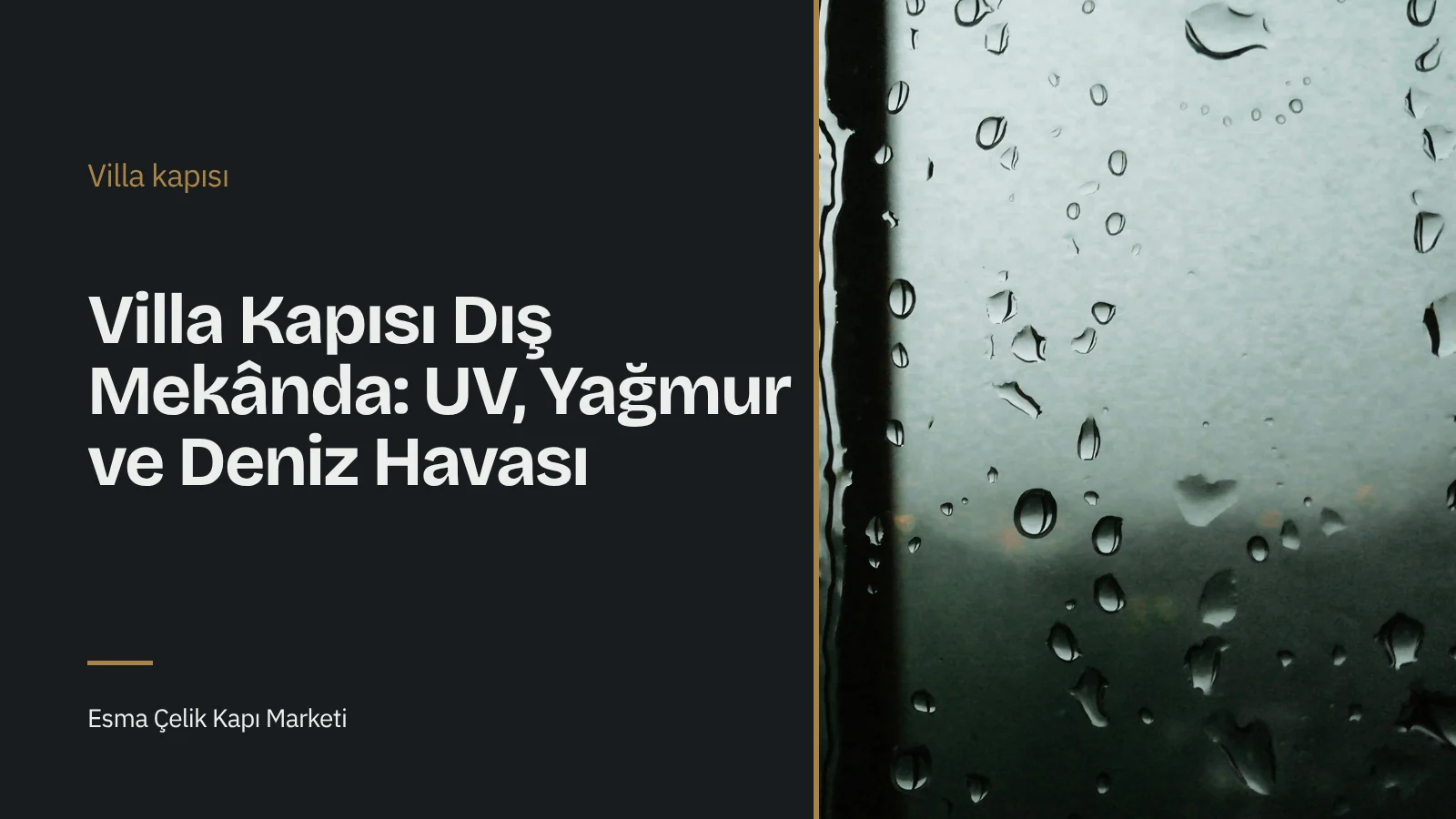 Close-up of rain droplets collecting on a window pane